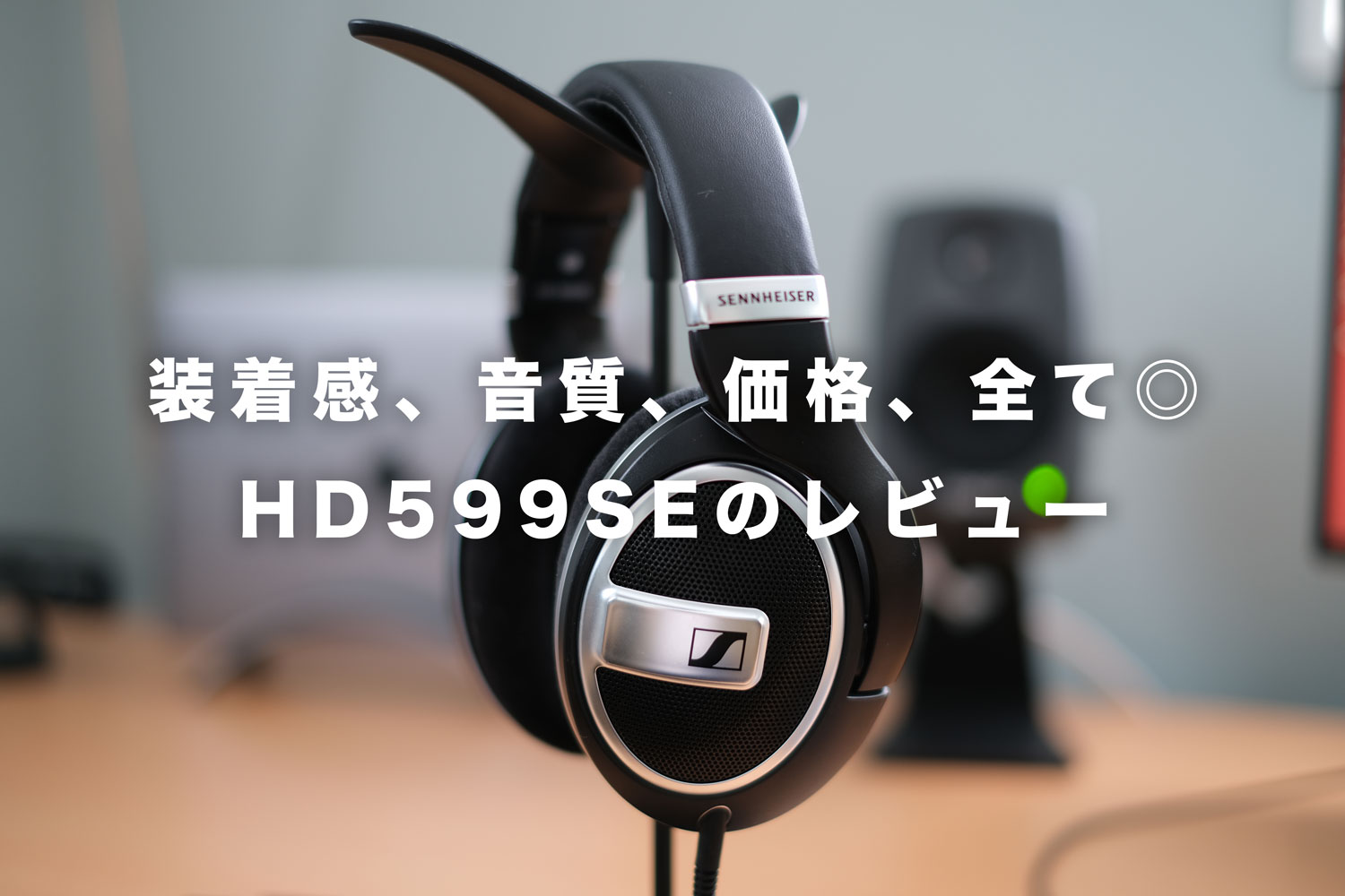 【新品】ゼンハイザー ヘッドホン 有線 HD599SE Special    a
